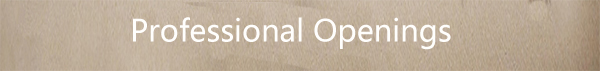 Professional Openings